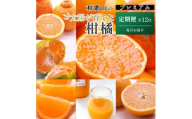 厳選 柑橘定期便S（毎月）全12回［IKE285］