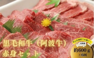 [定期便6回] 阿波牛 赤身焼肉セット 600g 冷凍 国産 黒毛和牛 阿波牛 和牛 牛肉 セット 赤身 マル イチボ クリ カメノコ トウガラシ バーベキュー BBQ