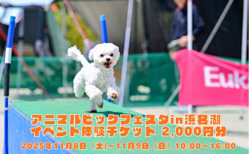 アニマルピックフェスタin浜名湖 イベント体験チケット 2,000円分 抽選会参加券付き 回数券 チケット 動物 アニマル 静岡 浜松市 2340764 - 静岡県浜松市