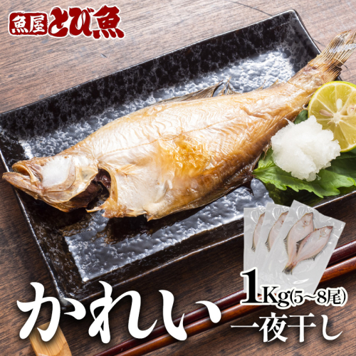 エテカレイ干物 1kg(5~8尾) 魚 干物 エテカレイ 加工食品 ひらき 魚介 魚介類 魚の開き 焼き魚 焼魚 干物 ひもの おかず 福井県 2340765 - 福井県若狭町