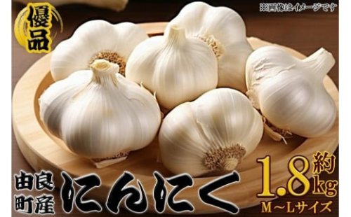 由良町産にんにく 優品 約1.8kg(900g×2／M～Lサイズ)【SL18】 2340871 - 和歌山県那智勝浦町