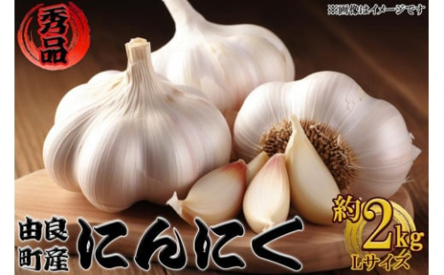 由良町産にんにく 秀品  Ｌサイズ  約2kg(1kg×2)【SL19】 2340872 - 和歌山県那智勝浦町