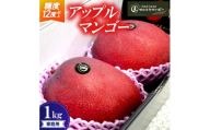 ＜2026年6月下旬から順次発送＞マルトウマンゴーの家庭用アップルマンゴー1kg【1670253】