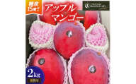 ＜2026年6月下旬から順次発送＞マルトウマンゴーの贈答用アップルマンゴー2kg【1670268】