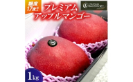 ＜2026年6月下旬から順次発送＞マルトウマンゴーのプレミアム アップルマンゴー1kg【1670278】