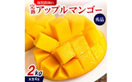 ＜2026年6月下旬から順次発送・贈答用＞儀間農園の完熟アップルマンゴー 秀品2kg(大玉4玉)【1672923】