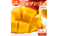 ＜2026年7月から順次発送・白箱＞中城果樹園の完熟アップルマンゴー 訳あり1.5kg(3～5玉)【1673136】
