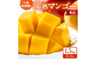 ＜2026年7月から順次発送・化粧箱＞中城果樹園の完熟マンゴー 秀品1.5kg(3～5玉)【1673413】