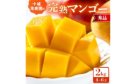 ＜2026年7月から順次発送・化粧箱＞中城果樹園の完熟マンゴー 秀品2.0kg(4～6玉)【1673414】