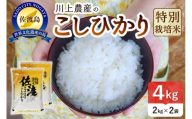 令和7年産 佐渡 川上農産のコシヒカリ （2kg×2）