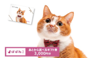 ぽぽねこギフト券（封筒タイプ）3000円分オンラインショップで使えるギフト券ペット用品猫（BP004）