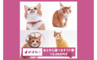 ぽぽねこギフト券（Eメールタイプ）15,000円分オンラインショップで使えるギフト券ペット用品猫（BP003）