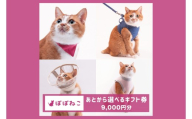 ぽぽねこギフト券（Eメールタイプ）9,000円分オンラインショップで使えるギフト券ペット用品猫（BP002）