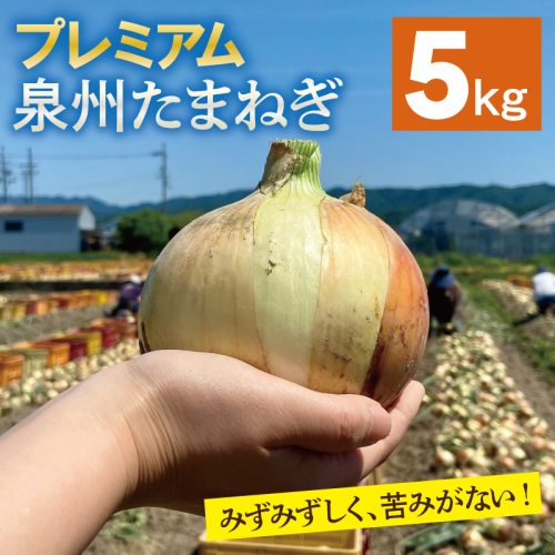 【プレミアム】泉州たまねぎ 5kg【玉ねぎ タマネギ 玉葱 甘い 野菜 国産 オニオン サラダ カレー バーベキュー 先行予約】 G3526 2341285 - 大阪府泉佐野市