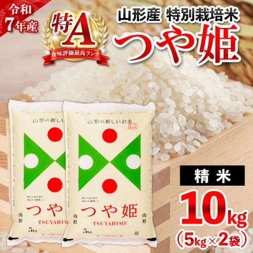 【2月発送】令和7年産 山形産 特別栽培米 つや姫(白米)10kg(5kg×2) FY25-347 2341289 - 山形県山形市