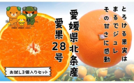 [先行予約] 愛果28号 お試し3個入りセット 愛媛産 愛媛県産 国産 愛媛みかん 愛媛蜜柑 愛媛ミカン みかん ミカン mikan 蜜柑 柑橘 フルーツ 果物 くだもの お取り寄せ 産地直送 数量限定 人気 おすすめ 愛媛県 松山市