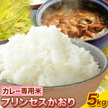 カレー専用米 プリンセスかおり 5kg 有限会社 田中農場《90日以内に出荷予定(土日祝除く)》鳥取県 八頭町 米 お米 ご飯 カレー 送料無料 2341382 - 鳥取県八頭町