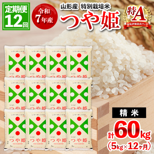 【2月発送開始】 【定期便12回】 先行予約 令和7年産 山形産 特別栽培米 つや姫 5kg×12ヶ月(計60kg) FY25-348 2341446 - 山形県山形市