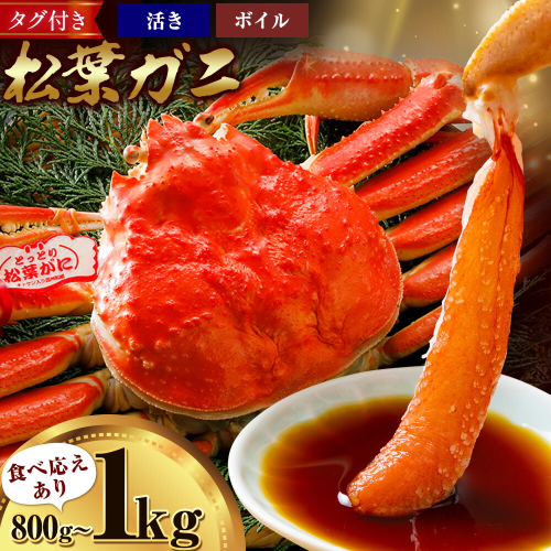 カニ 松葉ガニ 1kg 800g ボイル or 活き 1杯 《発送時期をお選びください》 SOO合同会社 鳥取県 八頭町 送料無料 蟹 かに 姿 鍋 ズワイガニ ズワイ蟹 ボイル 松葉ガニ 2341565 - 鳥取県八頭町