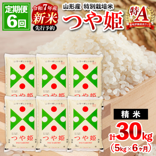 【1月発送開始】【定期便6回】 先行予約 令和7年産 新米 山形産 特別栽培米 つや姫 5kg×6ケ月(計30kg) FZ25-090 2341566 - 山形県山形市