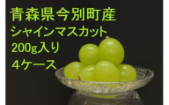 (2025年内発送)青森県今別町産シャインマスカットキューブケース入り粒(約200g×4ケース) 本郷農園