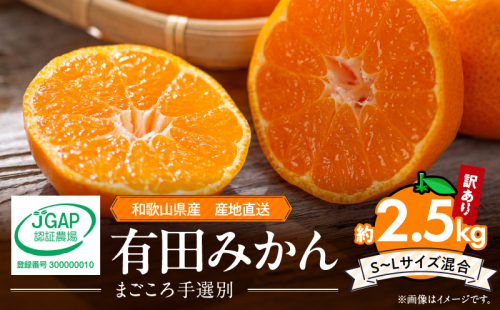 ZE6480_有田みかん 約2.5kg 【家庭用】 (S～Lサイズ混合)【まごころ手選別】 2341910 - 和歌山県湯浅町