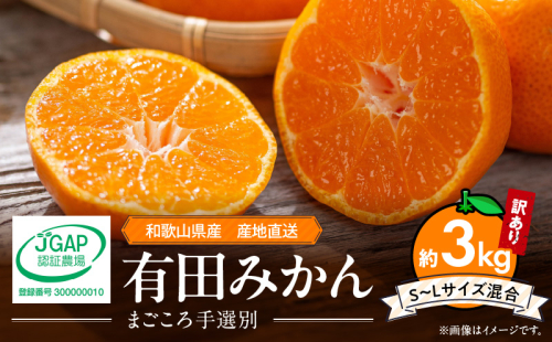 ZE6481_有田みかん 約3kg 【家庭用】 (S～Lサイズ混合)【まごころ手選別】 2341911 - 和歌山県湯浅町