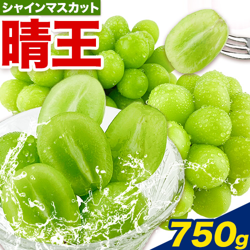ぶどう【2026年先行予約】シャインマスカット 晴王 1房 750g 岡山県産《2026年9月上旬-10月末頃出荷(土日祝除く)》 ハレノフルーツ マスカット 送料無料 岡山県 浅口市 フルーツ 果物 贈り物 ギフト 国産 岡山県産 くだもの 青果物 【配送不可地域あり】
 2342173 - 岡山県浅口市