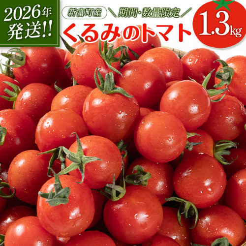 ＜期間・数量限定＞［2026年発送］くるみのトマト 計1.3kg 宮崎県新富町産 朝採れ 野菜 フレッシュ 国産【B667】 2342181 - 宮崎県新富町