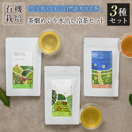 ＜有機栽培＞カラダうるおう自然派水出し茶 茶畑めぐり水出し冷茶 3種セット 国産 日本茶 飲み比べ【B681】 2342182 - 宮崎県新富町