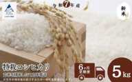 【6ヶ月定期便】特栽コシヒカリ 精米 白米 （玄米5kgを精米したて白米発送）令和7年産 新米 こしひかり | 石川県 小松市【のむら農産】
