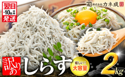 訳あり 釜揚げ しらす 2kg (1箱×2) 小分け 減塩 無添加 無着色 冷凍 愛知県 南知多町 ご飯 ごはん 丼 料理 国産 カネ成 シラス 人気 おすすめ シラス しらす しらすごはん shirasu sirasu SIRASU 人気シラス 