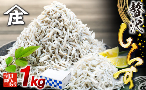 しらす 1kg 訳あり 冷凍 ちりめん しらす干し 減塩 極み ごはん 丼 パスタ チャーハン サラダ 魚 料理 山庄 シラス しらす しらすごはん shirasu sirasu SIRASU 人気シラス 海鮮 魚 ランキング 美味しい 愛知県 南知多町 師崎