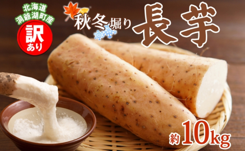 洞爺湖町産 訳あり 長芋 約10kg 2026年12月上旬から順次お届け 長いも 国産 北海道産 訳アリ 家庭用 不揃い とろろ 山かけ ステーキ 生食 調理 野菜 芋 旬 北海道 洞爺湖町 2342442 - 北海道洞爺湖町