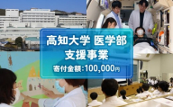 【返礼品なし/100,000円】高知大学 医学部 支援事業(教育・研究・地域医療の支援）| 研究支援 人材育成 地域医療 看護教育支援 高知県 南国市