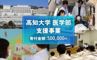 【返礼品なし/500,000円】高知大学 医学部 支援事業(教育・研究・地域医療の支援）| 研究支援 人材育成 地域医療 看護教育支援 高知県 南国市