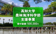 【返礼品なし/500,000円】高知大学 農林海洋科学部 支援事業(教育・研究・地域貢献を支える寄附) | 実習・フィールドワーク支援 研究支援  地域貢献活動支援 人材育成 高知県 南国市