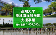 【返礼品なし/1,000,000円】高知大学 農林海洋科学部 支援事業(教育・研究・地域貢献を支える寄附) | 実習・フィールドワーク支援 研究支援  地域貢献活動支援 人材育成 高知県 南国市