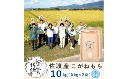【新米】佐渡島産 こがねもち 無洗米 5kg×2袋 2342697 - 新潟県佐渡市