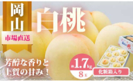 Do-1[令和8年発送・先行予約]岡山県産 白桃8玉(合計1.7kg以上) 化粧箱入り