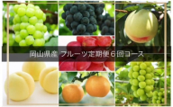 KK-6[令和8年発送・先行予約]岡山県産 晴れの国岡山フルーツ7月8月9月10月11月12月定期便6回 化粧箱入りA