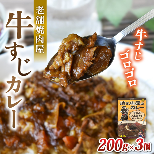 味園特選牛すじカレー200g×3個　国産黒毛和牛　高級ギフト／焼肉ホルモン味園　カレー　奈良県　葛城市 2342938 - 奈良県葛城市