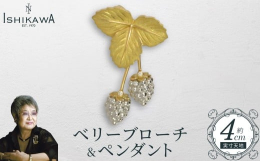【ふるさと納税】【NOBUKO ISHIKAWA（ノブコイシカワ）】ベリーブローチ＆ペンダント 【12203-0364】