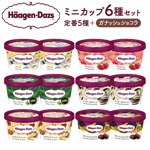ハーゲンダッツ『ミニカップ12個セット（定番フレーバー＆新商品 ガナッシュショコラ）』アイスクリーム アイス スイーツ デザート_H0026-062 2343094 - 北海道浜中町