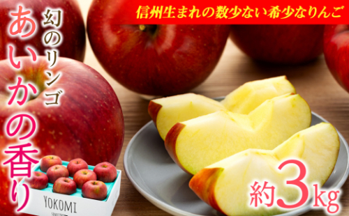  りんご あいかの香り 約3kg セット 2025年 令和7年度発送分 リンゴ 林檎 長野 フルーツ 果物 信州産 長野県産 特産 産地直送 おすすめ　[№5675-1070]