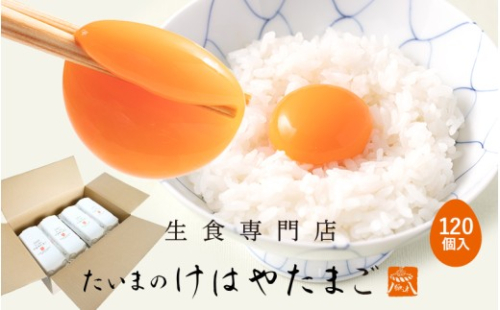 たいまのけはやたまご 120個入り ／たまご 生卵 奈良県 葛城市【tegg005】 2343806 - 奈良県葛城市