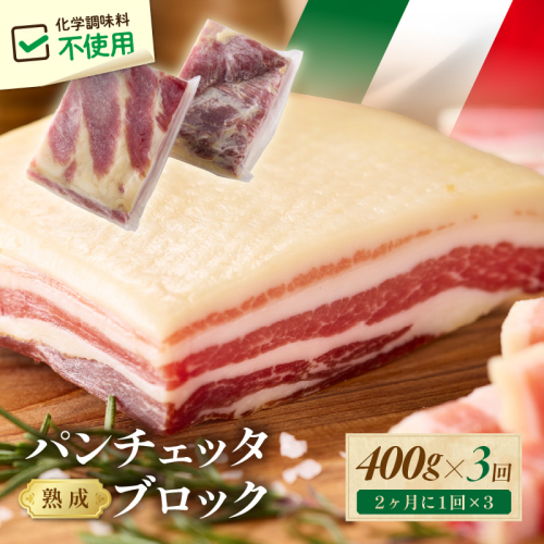 【定期便 隔月×3回】パンチェッタブロック（豚バラ肉の塩漬け）　約200g×2袋 ふるさと納税 豚肉 塩漬け ふるさと納税 ベーコン ふるさと納税 パンチェッタ 豚バラ 塩漬け スペイン料理
 2343810 - 京都府京丹後市