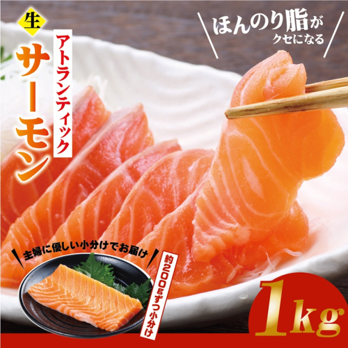 生食可！アトランティックサーモン  合計1kg【小分け 柵切り 刺身 魚介 海鮮】 G3528 2343847 - 大阪府泉佐野市