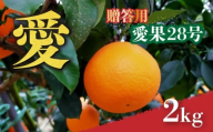 愛媛 みかん 愛果28号 贈答用 2kg あいか [先行予約 2025年12月上旬から発送] | 紅まどんな と同品種 柑橘 みかん まどんな 柑橘 みかん 果物 おすすめ 高級 人気 お取り寄せ グルメ ギフト 贈り物 贈答 ご当地 送料無料 愛媛県 松山市