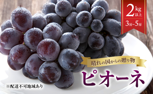 【2026年先行予約】 ぶどう 岡山県産 晴れの国からの 贈り物 ピオーネ 2kg以上（3房～5房） 《2026年8月中旬-9月中旬出荷》 葡萄 フルーツ 果物 スイーツ 数量限定 期間限定 岡山 里庄町 2344410 - 岡山県里庄町